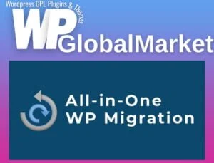 All in One WP Migration Multisite Extension