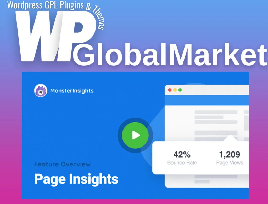 Monsterinsights – page insights addon