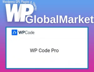 WPCode Pro