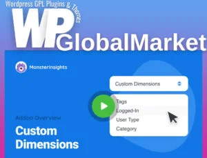 MonsterInsights – Dimensions Addon