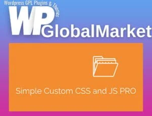 Simple Custom CSS and JS PRO