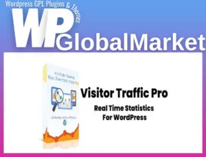 Visitor Traffic Real Time Statistics Pro