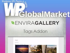 Envira Gallery Tags Addon