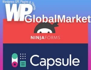 Ninja Forms Capsule CRM