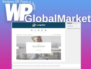 CSS Igniter Olsen WordPress Theme
