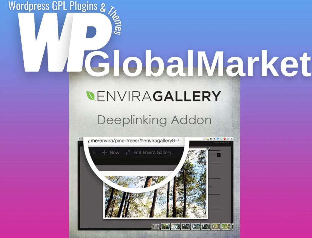 Envira gallery deeplinking addon