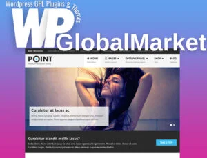 MyThemeShop Point Pro WordPress Theme