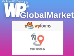 WPFroms – User Journey