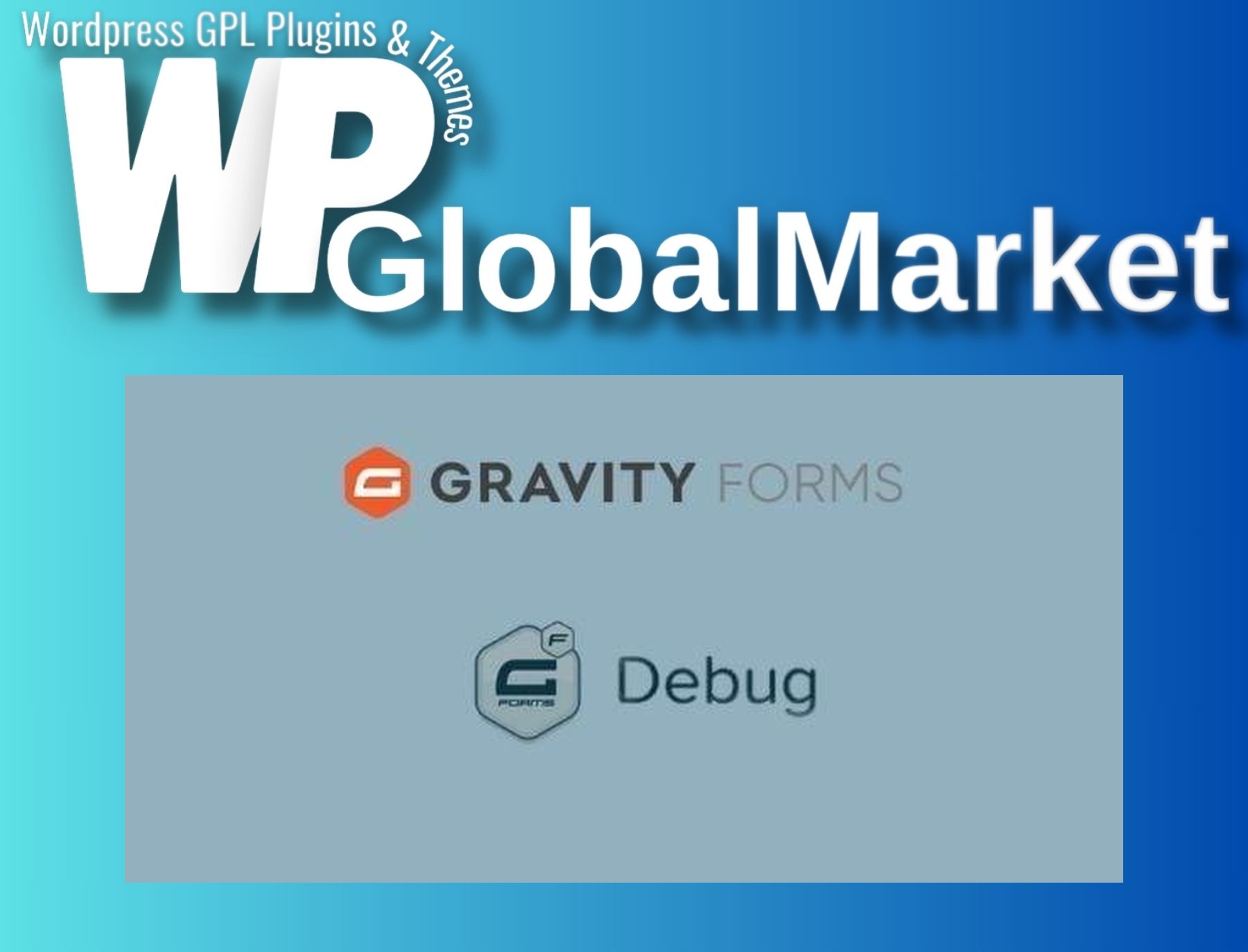 Gravity Forms Debug