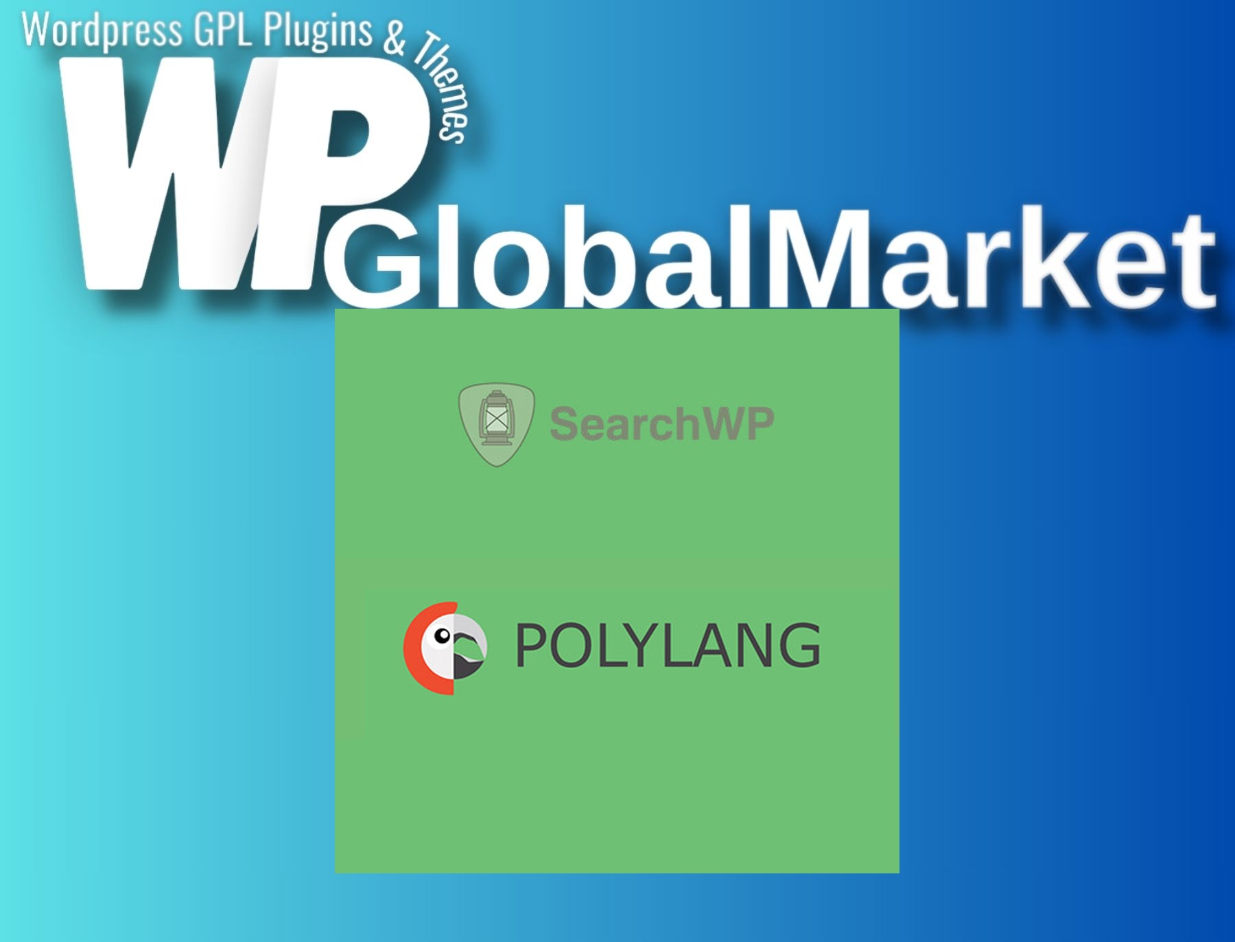 SearchWP Polylang Integration