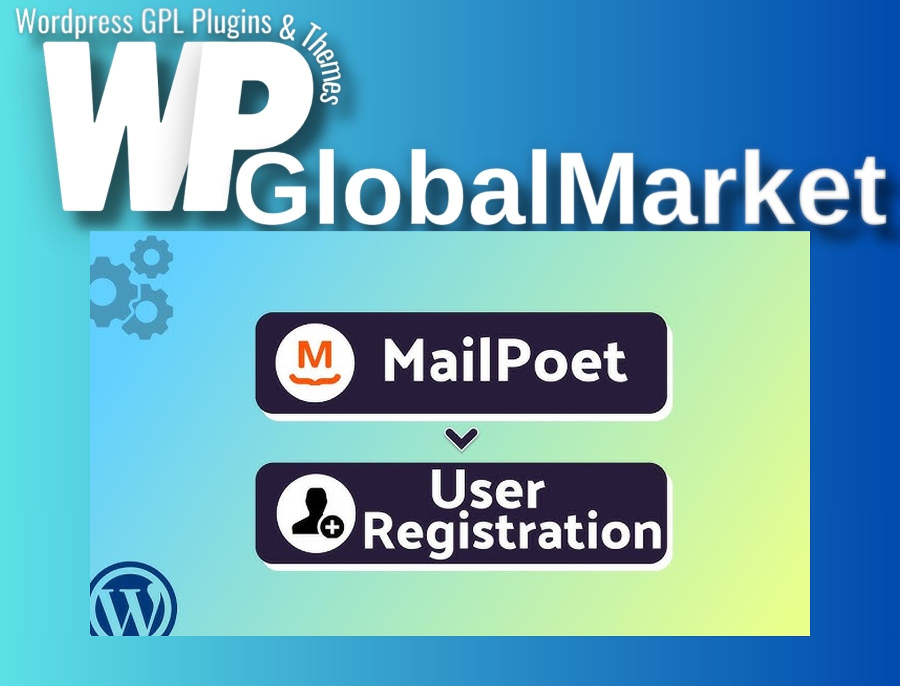 User Registration MailPoet